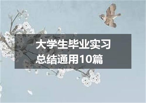 大学生毕业实习总结通用10篇