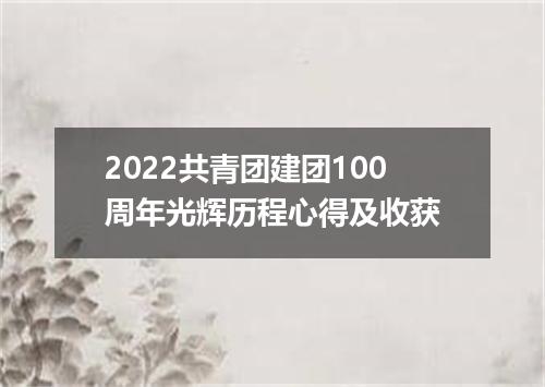 2022共青团建团100周年光辉历程心得及收获