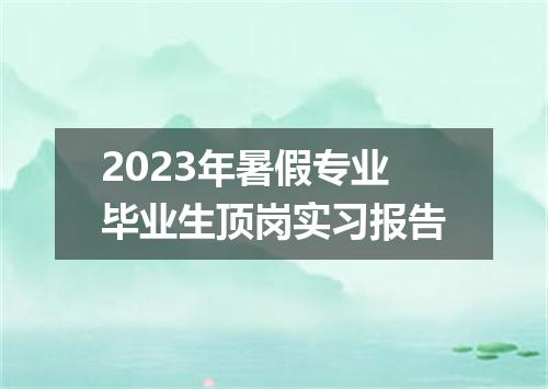 2023年暑假专业毕业生顶岗实习报告