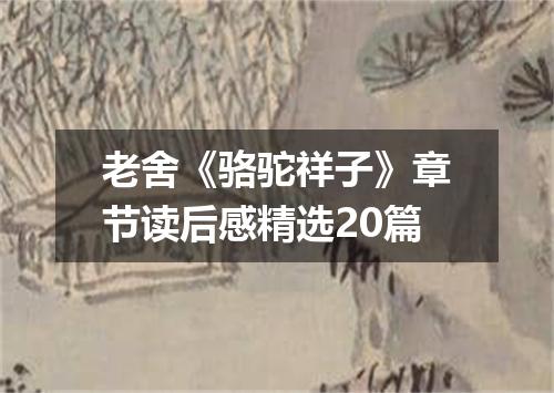 老舍《骆驼祥子》章节读后感精选20篇