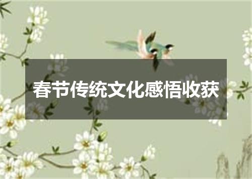 春节传统文化感悟收获