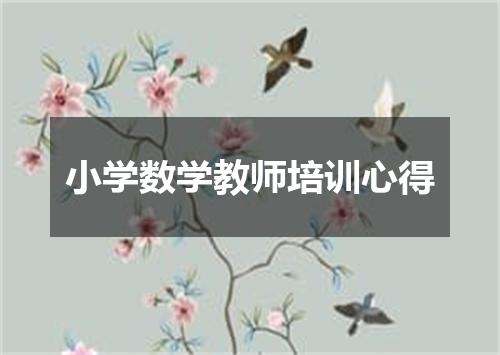 小学数学教师培训心得