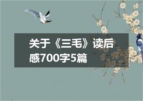 关于《三毛》读后感700字5篇