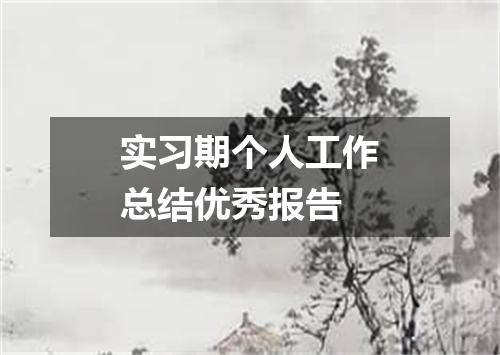 实习期个人工作总结优秀报告