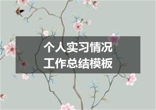 个人实习情况工作总结模板