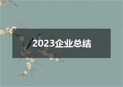 2023企业总结