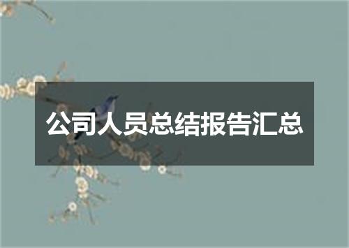 公司人员总结报告汇总