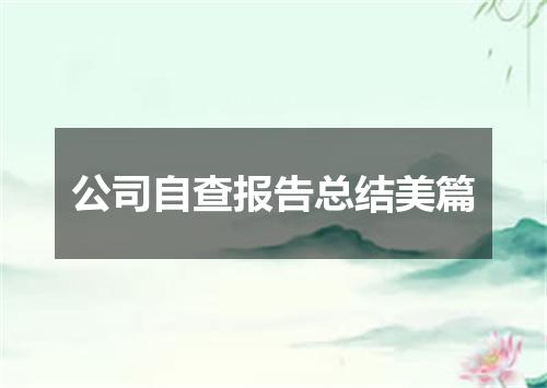 公司自查报告总结美篇