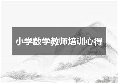 小学数学教师培训心得