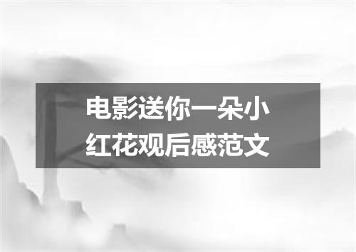 电影送你一朵小红花观后感范文