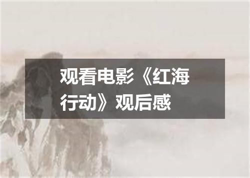 观看电影《红海行动》观后感
