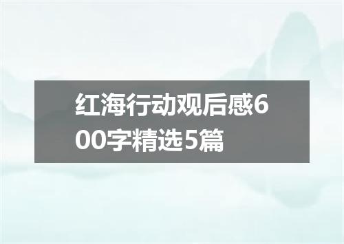 红海行动观后感600字精选5篇