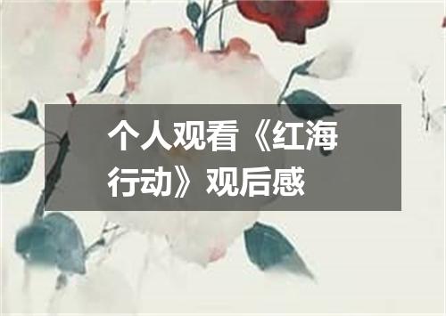 个人观看《红海行动》观后感