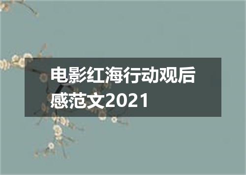 电影红海行动观后感范文2021