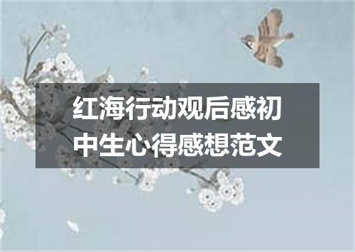 红海行动观后感初中生心得感想范文