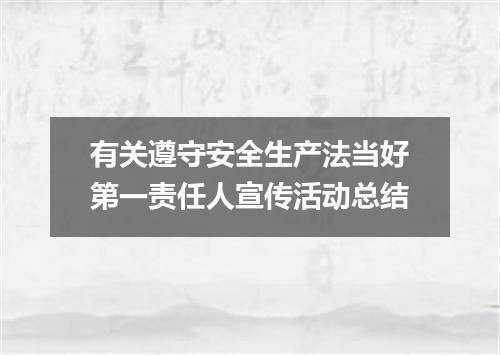 有关遵守安全生产法当好第一责任人宣传活动总结