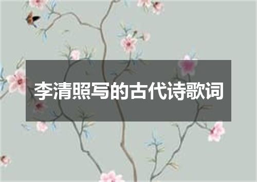 李清照写的古代诗歌词