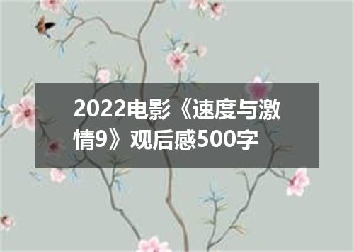 2022电影《速度与激情9》观后感500字