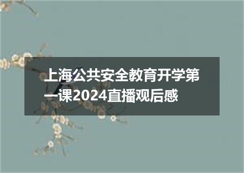 上海公共安全教育开学第一课2024直播观后感