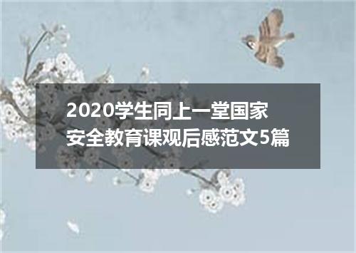 2020学生同上一堂国家安全教育课观后感范文5篇