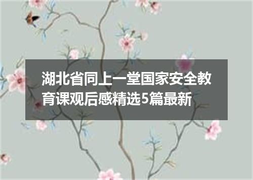 湖北省同上一堂国家安全教育课观后感精选5篇最新