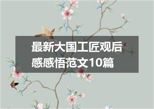 最新大国工匠观后感感悟范文10篇