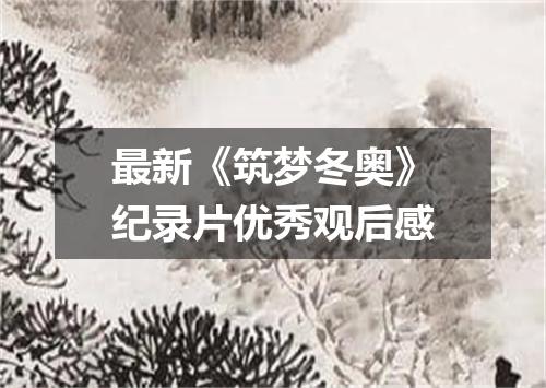 最新《筑梦冬奥》纪录片优秀观后感