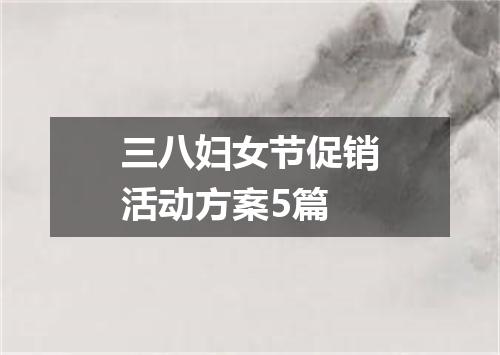 三八妇女节促销活动方案5篇
