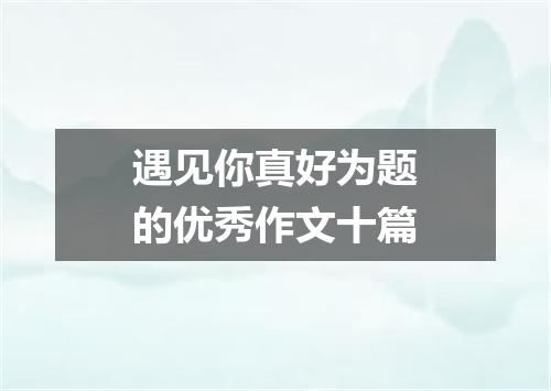 遇见你真好为题的优秀作文十篇