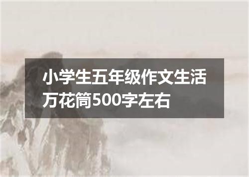 小学生五年级作文生活万花筒500字左右