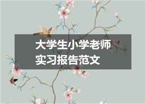 大学生小学老师实习报告范文