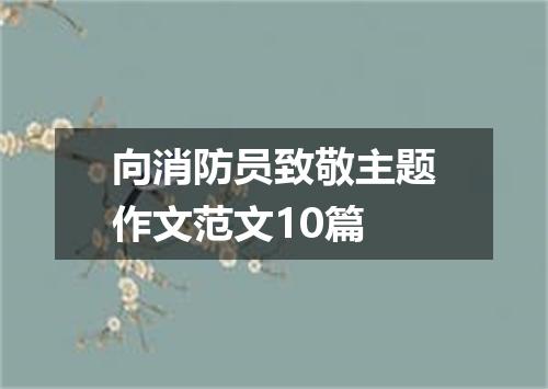 向消防员致敬主题作文范文10篇