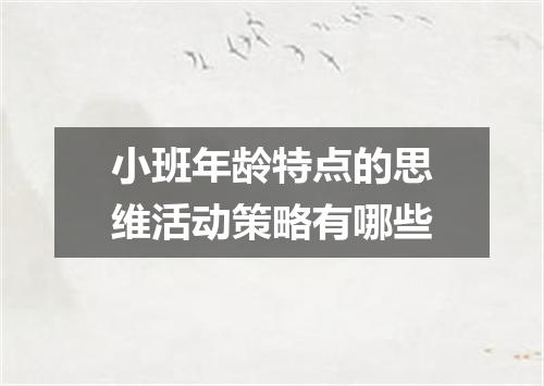 小班年龄特点的思维活动策略有哪些