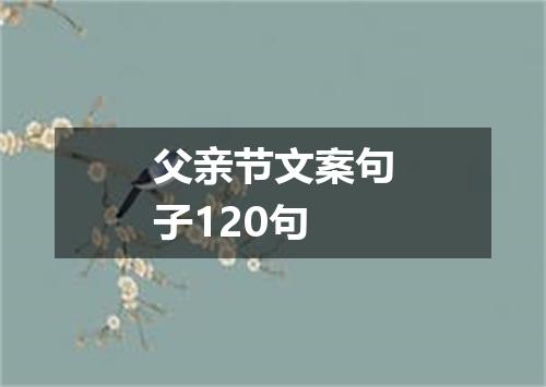 父亲节文案句子120句