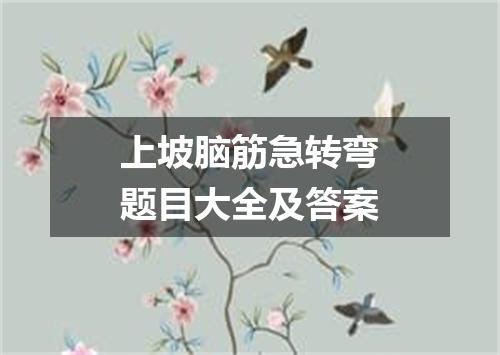 上坡脑筋急转弯题目大全及答案
