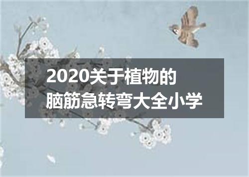 2020关于植物的脑筋急转弯大全小学