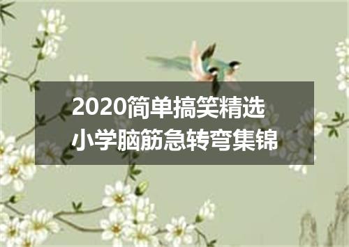 2020简单搞笑精选小学脑筋急转弯集锦