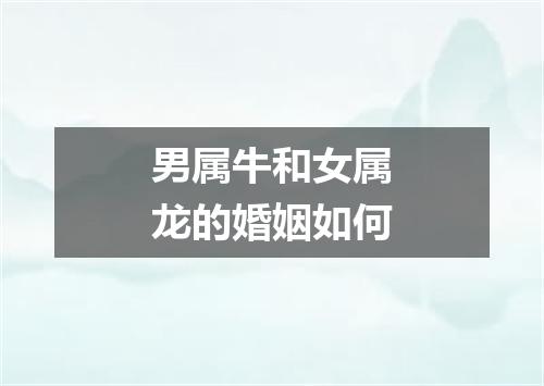 男属牛和女属龙的婚姻如何