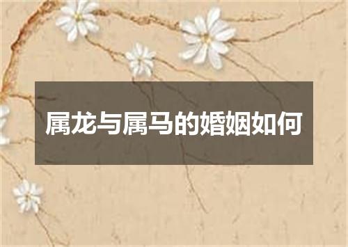 属龙与属马的婚姻如何