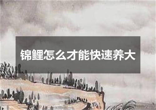 锦鲤怎么才能快速养大