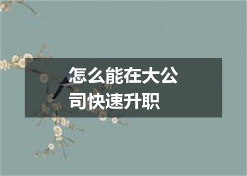 怎么能在大公司快速升职