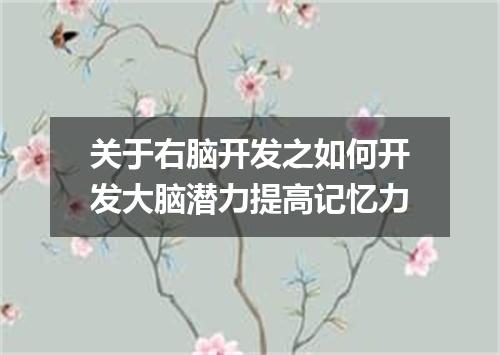 关于右脑开发之如何开发大脑潜力提高记忆力