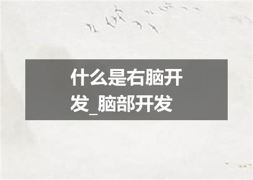 什么是右脑开发_脑部开发