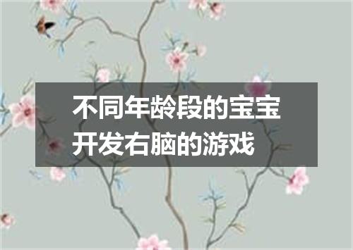 不同年龄段的宝宝开发右脑的游戏