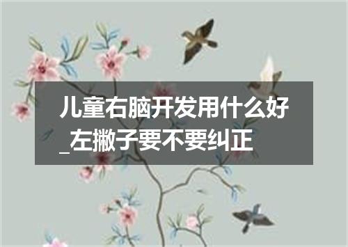 儿童右脑开发用什么好_左撇子要不要纠正