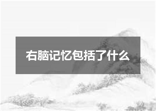 右脑记忆包括了什么