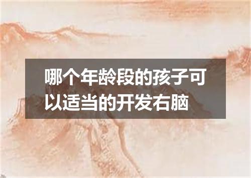 哪个年龄段的孩子可以适当的开发右脑