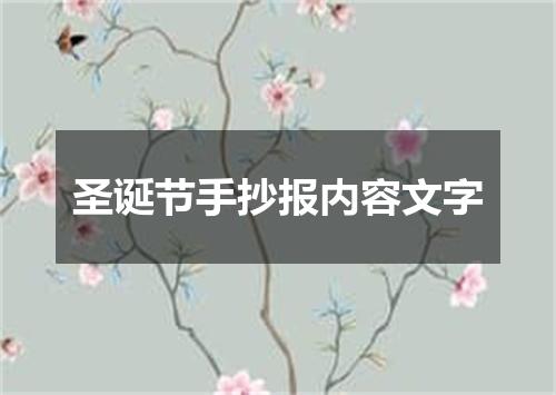 圣诞节手抄报内容文字