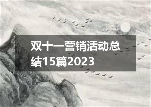 双十一营销活动总结15篇2023