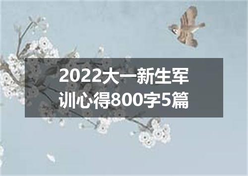 2022大一新生军训心得800字5篇